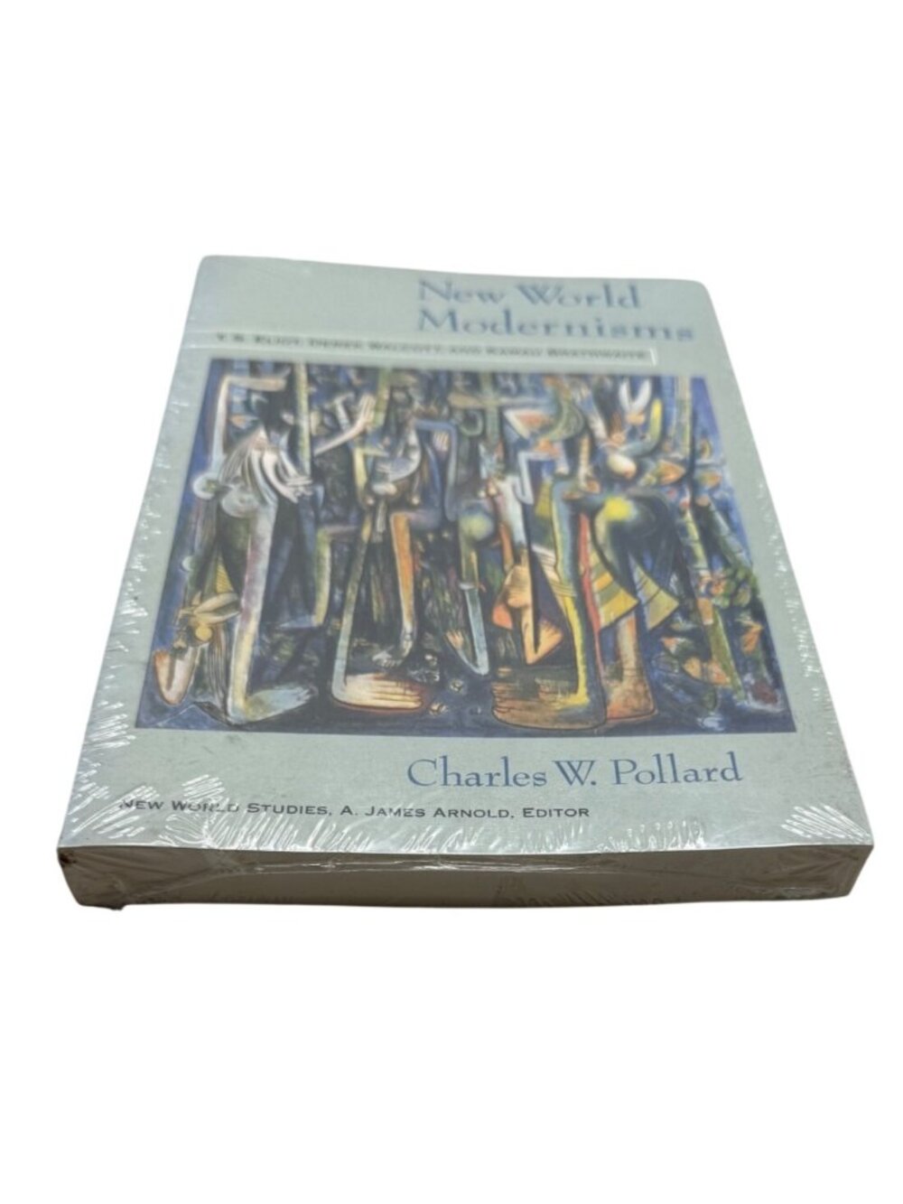 New World Modernisms By Charles W Pollard Academic Literary Study Book